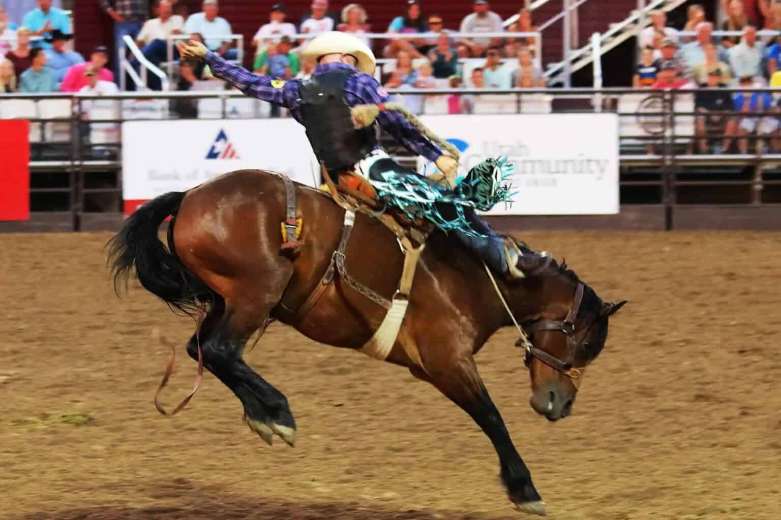 Common Rodeo Injuries and overcoming them | Acumen Health